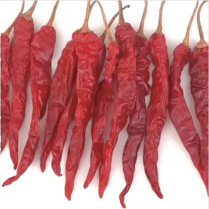 Vagro Kohinoor Deluxe